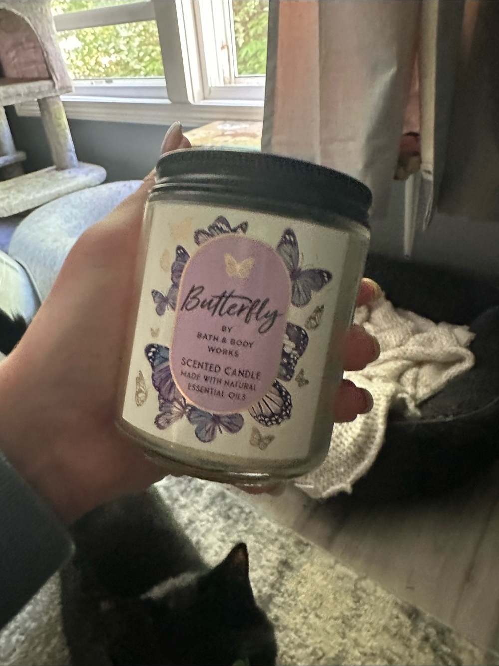 Bath & Body Works Butterfly Scented Candle - Purple and Black